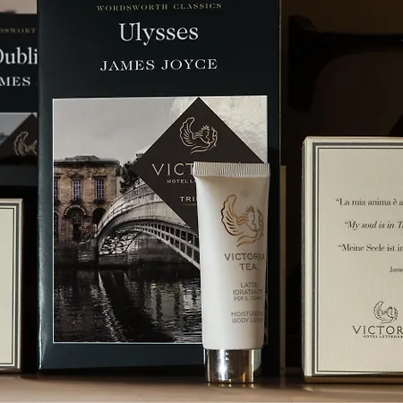 维多利亚文化酒店 酒店