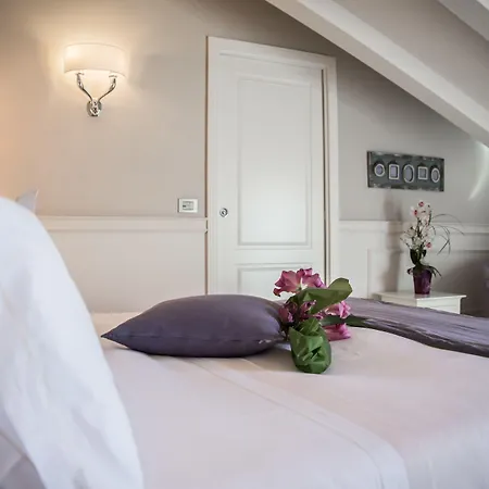 维多利亚文化酒店 酒店 4*