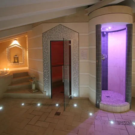 维多利亚文化酒店 4*